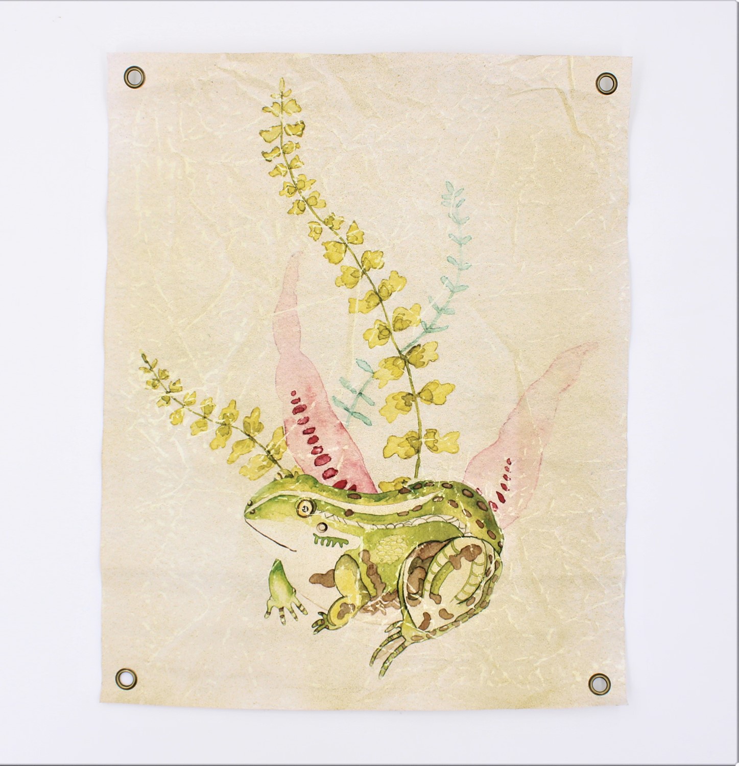 15x19" Art Paper, Frog ©Debi Vincent DV1107
