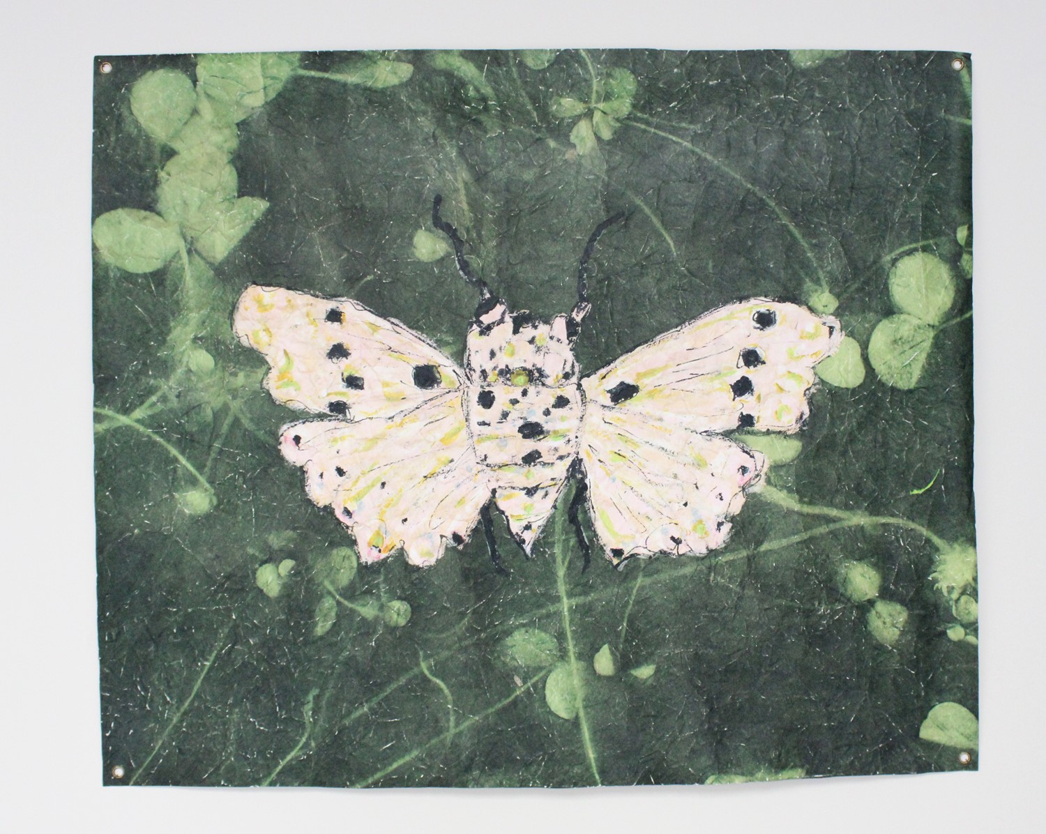 46x38" Art Paper, Butterfly in Fern ©Tawnya Norton TN2058
