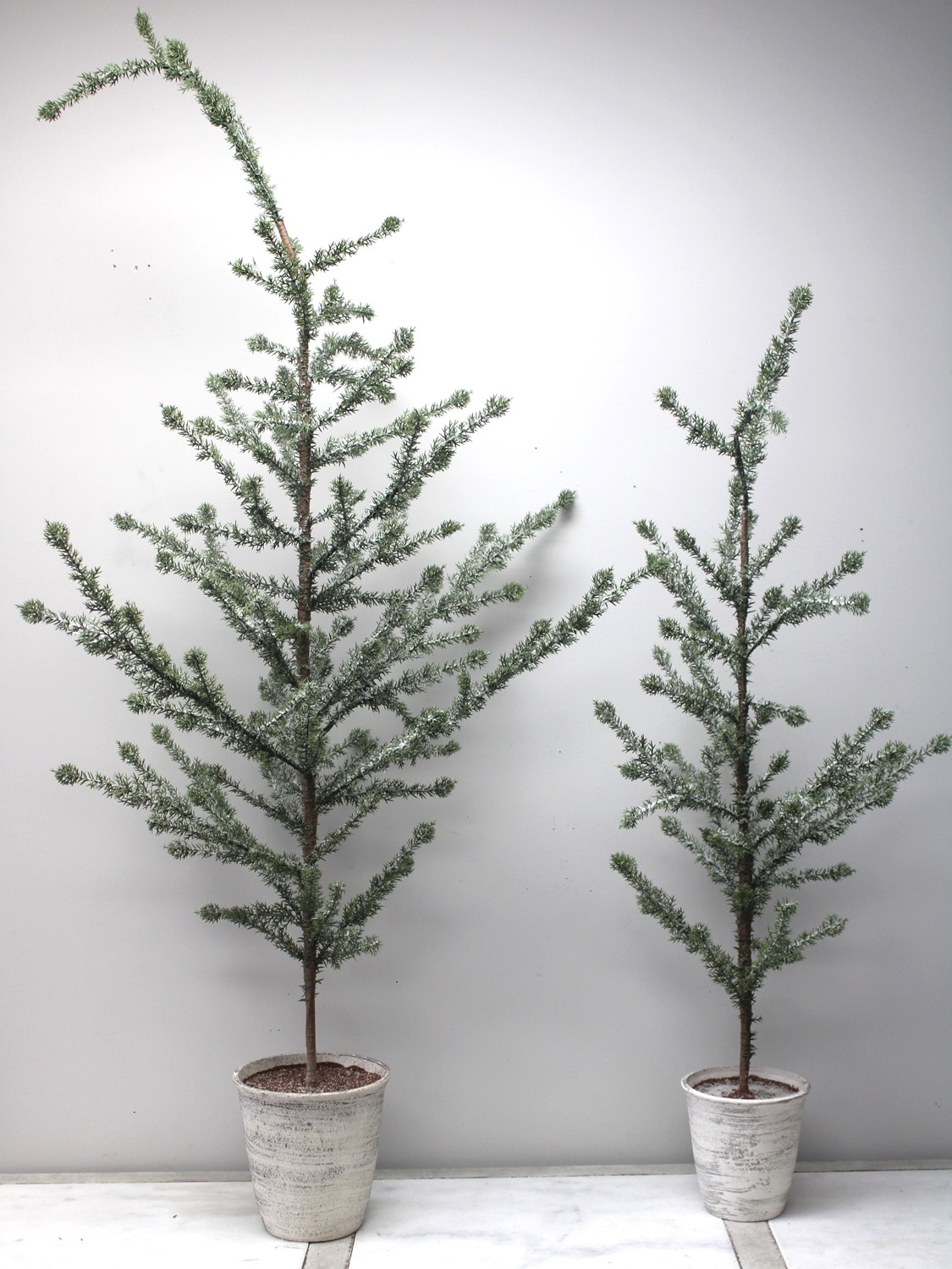 14x36.5" Twig Tree in Pot CM1208