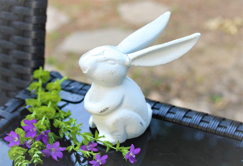 4x3.25x2" Cast Iron Rabbit, White HD5222