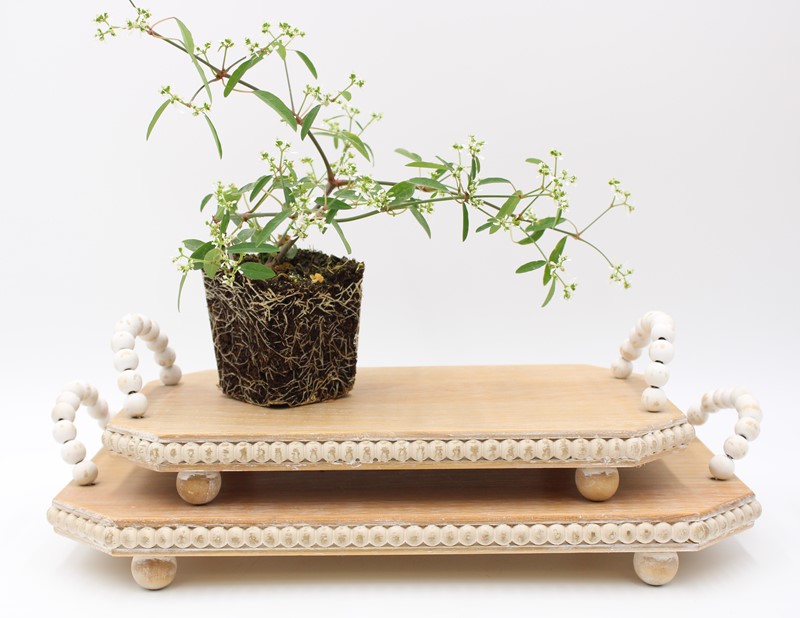 Set/2 Rectangle Beaded Trays, 16x10", 13x8" HD6381S