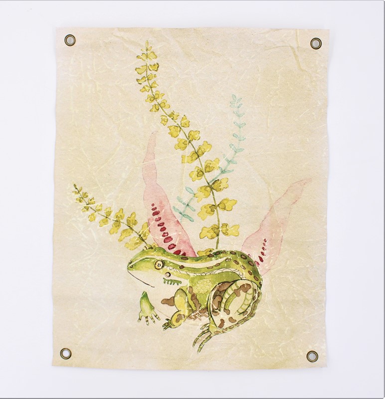 15x19" Art Paper, Frog ©Debi Vincent DV1107