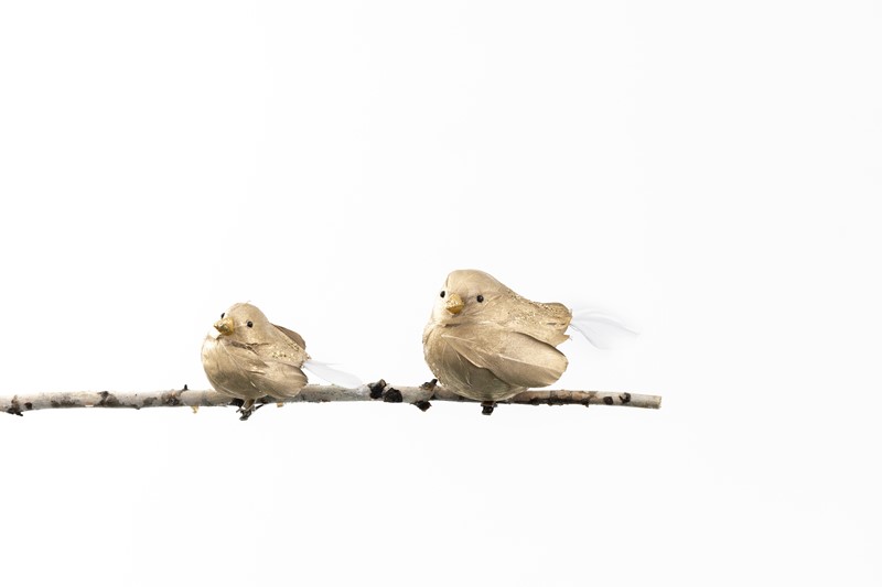 Set/2 Gold Feather Bird Clips, 3.25", 2.5" CM5012S