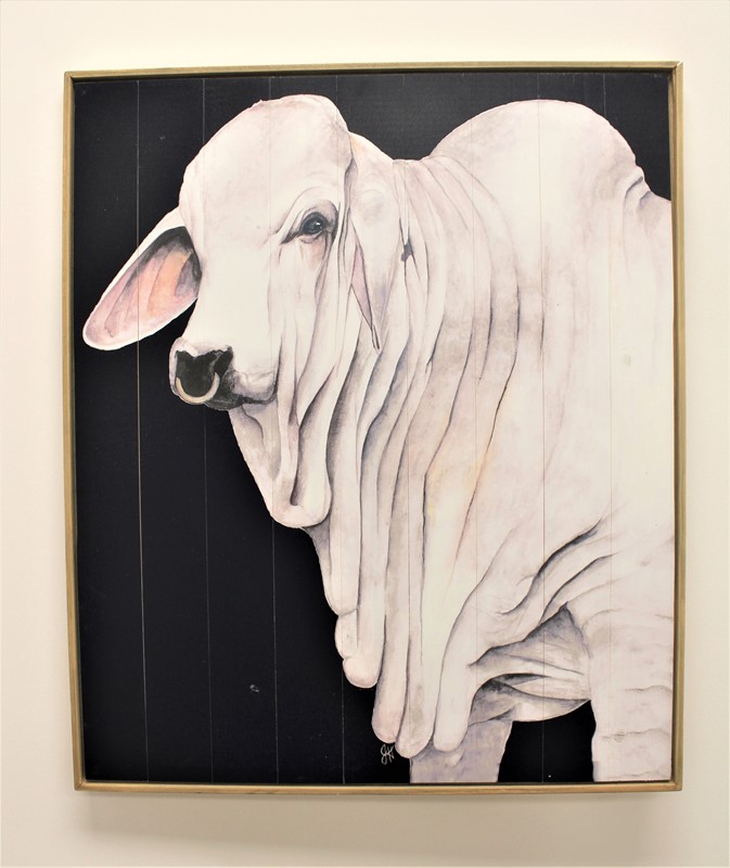 26x22" Wood Wall Décor, Whiskey, Brahman Cow on Black ©Dolly Estelle DE9006