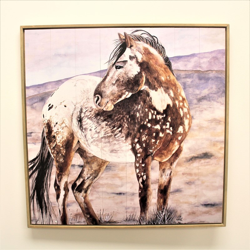 20x20" Wood Wall Décor, Appaloosa Horse ©Dolly Estelle DE9007