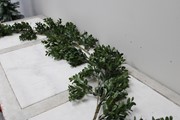 60" Faux Boxwood Garland CM3250 View 2